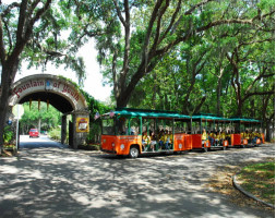 St Augustine Day Tour Plus Trolley Tour 